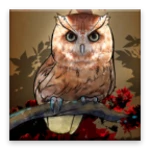 owl wallpaper android application logo